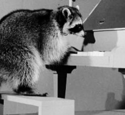 Rocking Raccoon - Τα κόμπλεξ των Metallica για τον Les Paul 